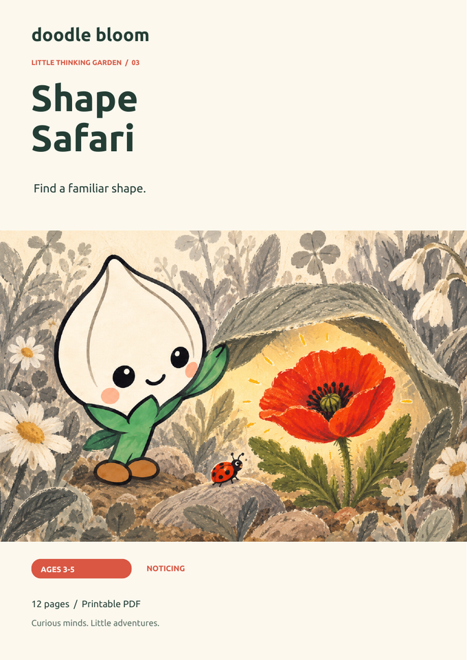 Shape Safari: actual cover